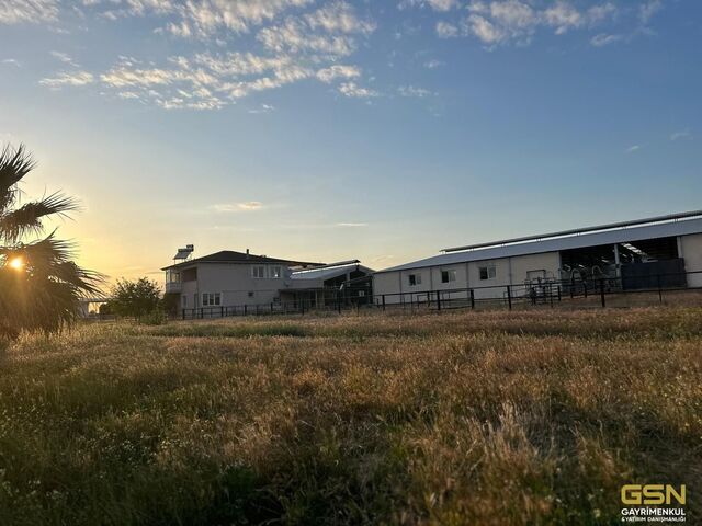 11-İZMİR DİKİLİ BAHÇELİ MAHALLESİNDE DENİZE 3. PARSEL 48.000 M2 İÇERİSİNDE KURULU 4000 BÜYÜKBAŞLIK RUHSATLI ÇİFTLİK